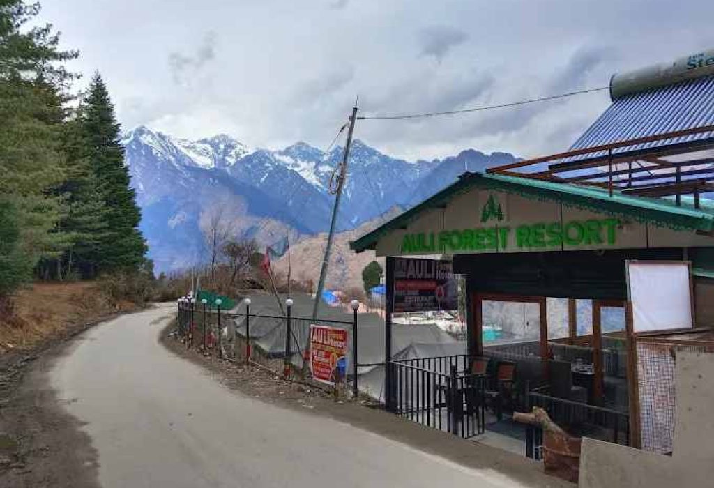 Auli Forest Resort