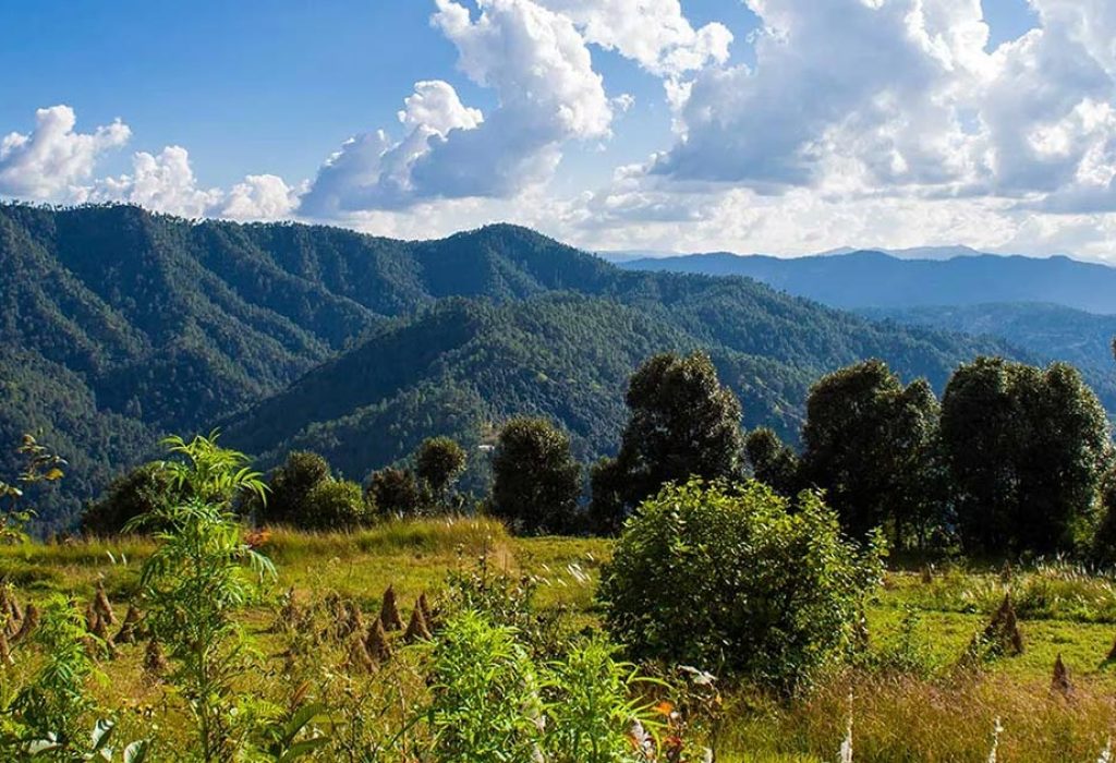 Binsar Wildlife Sanctuary