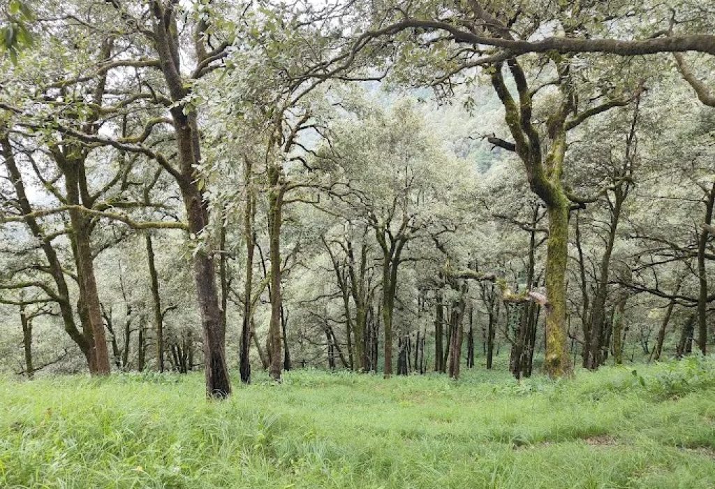 Kilbury Bird Sanctuary