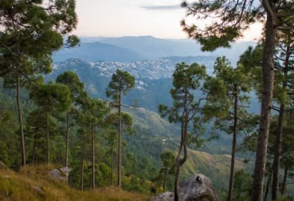 Mukteshwar Forest Trails