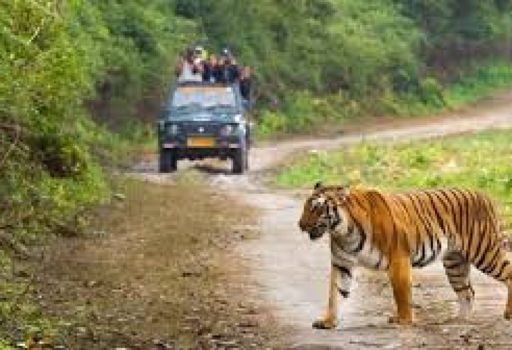 Sitabani Forest Reserve