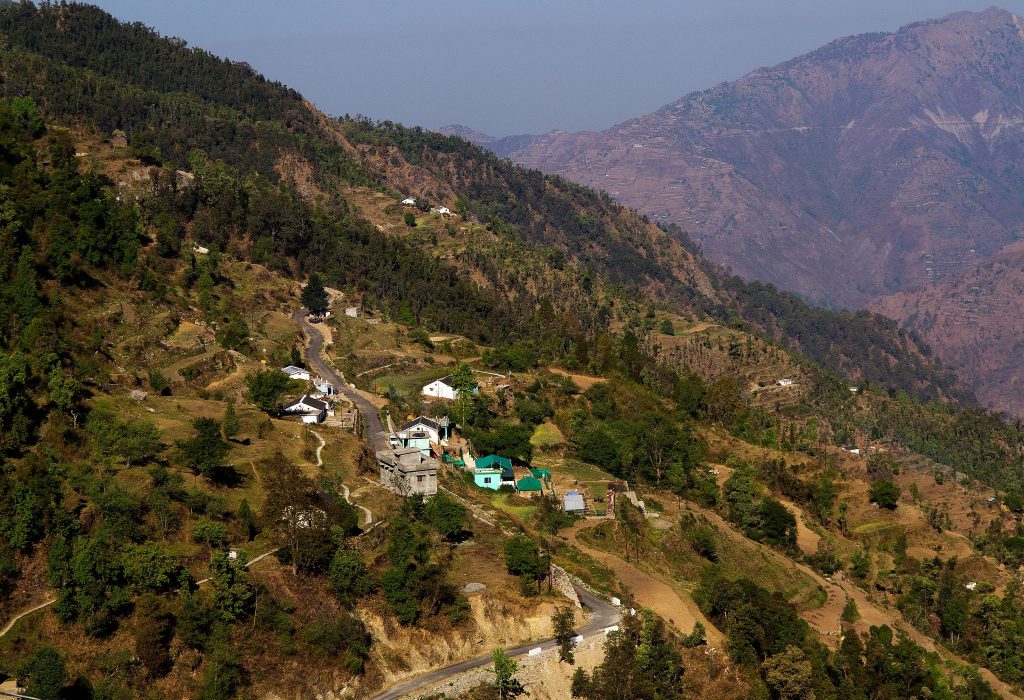 Village houses in the forested pine trees hills at Pangot village