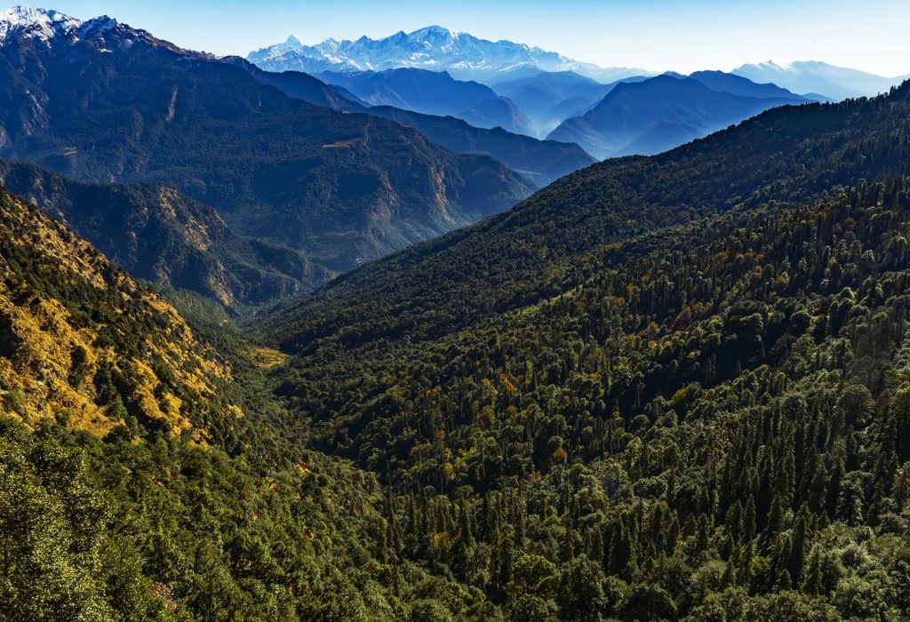 Kedarnath Wildlife Sanctuary near Chopta – best places to visit in Chopta